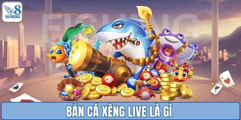 Bắn Cá Xèng Live - Chơi Trực Tiếp, Cược Cực Đã Tại O8