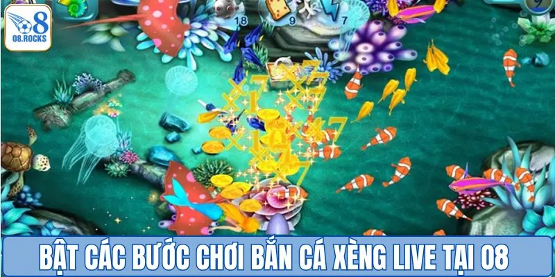 Bắn Cá Xèng Live - Chơi Trực Tiếp, Cược Cực Đã Tại O8